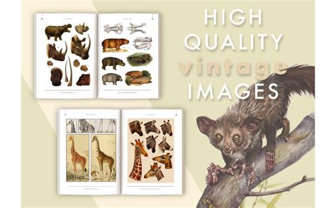 Animal Reference Book: Mammalian Species, Restored Vintage ...