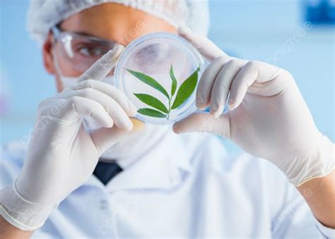 Biotechnology Lab Background 的图像结果