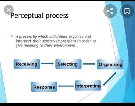 Draw perceptual process model in organizational behaviour - Brainly.in