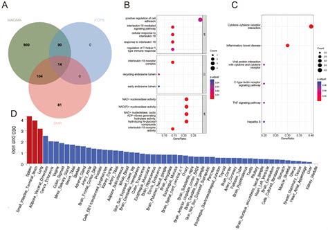 Identifying Common Genetic Etiologies Between Inflammatory Bowel ...