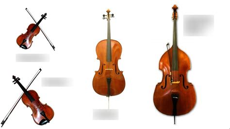 String instruments Diagram | Quizlet