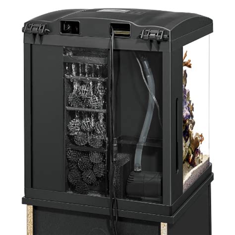 Image result for Biocube Maintenance Tips