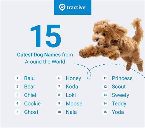 Image result for Most Common Dog Names