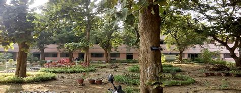 Welcome to Anchal College, Padampur