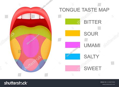 What Is Taste Of Tongue