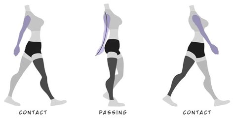 Image result for Walk Animation Reference