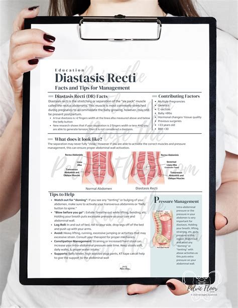 Diastasis Recti Patient Education Handout PDF Digital Download | Postp – Raise The Pelvic Floor