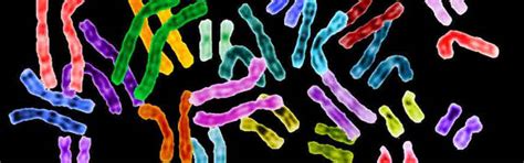 BIOGNOSYS TECHNOLOGIES (INDIA) PRIVATE LIMITED : Diagnosis Benchmarked ...