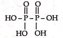 Which acid has P - P linkage? - Tardigrade