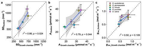 Plants | Special Issue : 250 Years of Research in Photosynthesis ...
