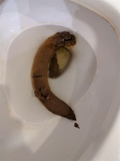This might just be the biggest shit I've ever taken : r/poop