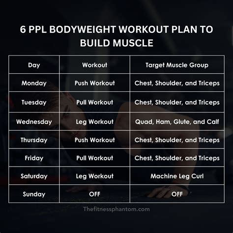 6 Day Bodyweight Push Pull Legs Workout Routine w/PDF