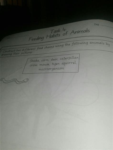 what are the food chains don't draw a picture - Brainly.in