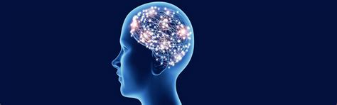 The Michael V. Johnston Center for Developmental Neuroscience | Kennedy ...