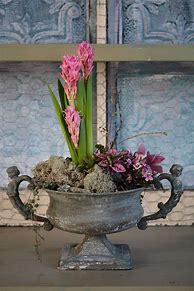 Image result for Pot Et Fleur