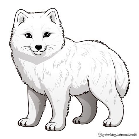 Arctic Fox Coloring Pages - Free & Printable!