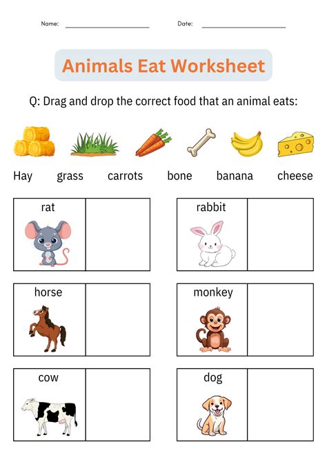 What Do Animals Eat? - Matching Animals and Their Food Worksheets for ...