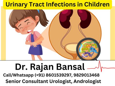 Urinary Tract Infection In Children Evidence Based Clinical Practice