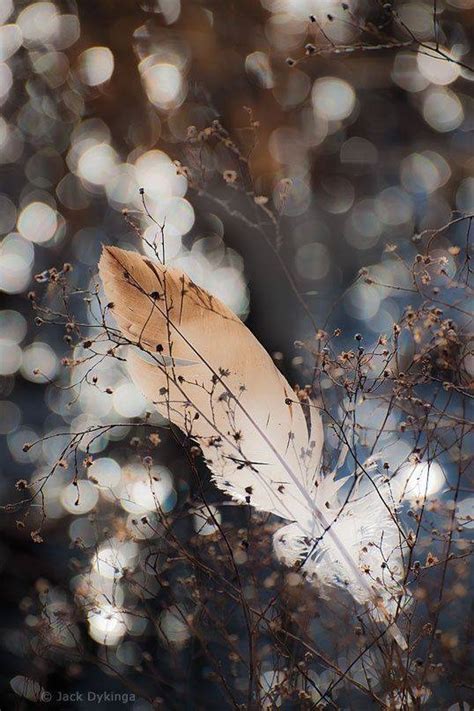 Serendipity Corner added a new photo. - Serendipity Corner