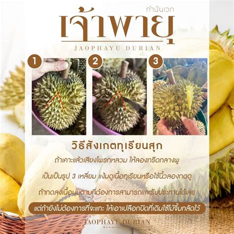 Image result for Java Rice Tray