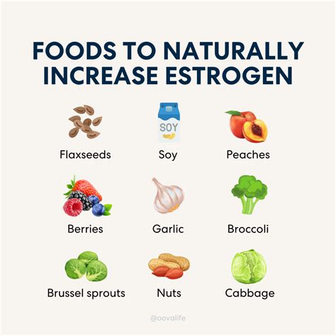How To Naturally Increase Estrogen