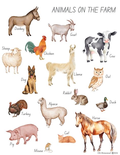 Animals on the Farm Print - Etsy | Farm animals pictures, Farm prints ...