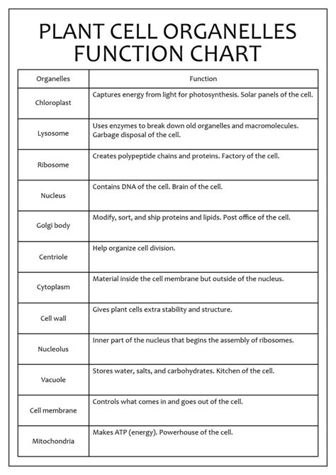 Cell Structure Worksheet PDF 的图像结果