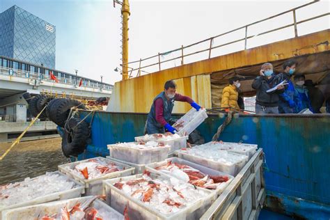 实拍海鲜市场_1920X1080_高清视频素材下载(编号:5188209)_实拍视频_光厂(VJ师网) www.vjshi.com