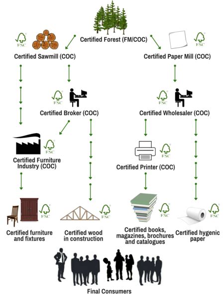 Image result for FSC Testing