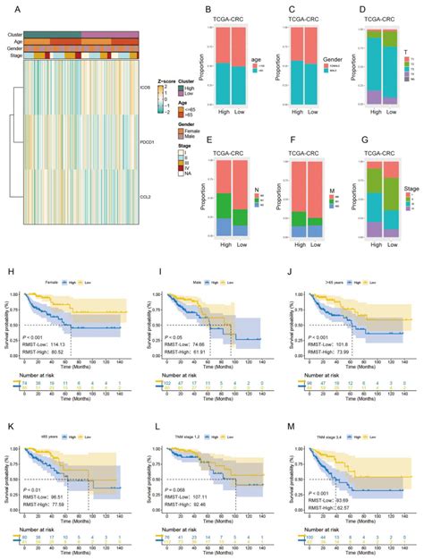 Image result for Lymphgen Algorithm