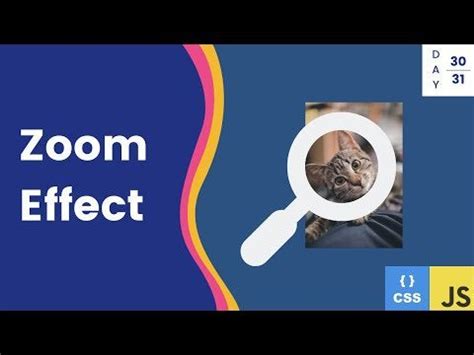 Image result for JavaScript Zoom