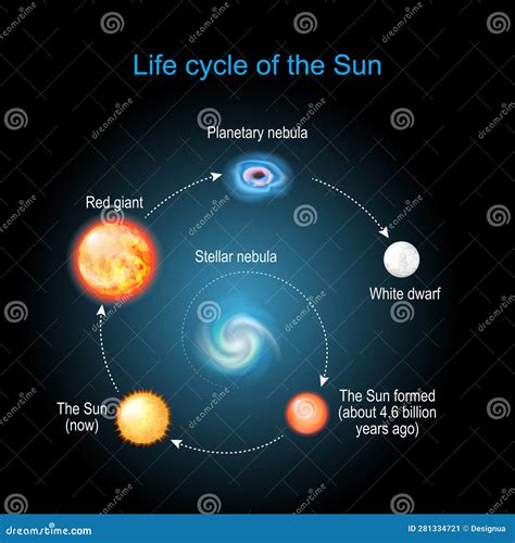Life cycle of the Sun stock vector. Illustration of life - 281334721
