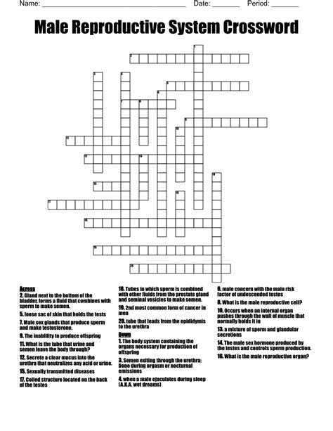 Male Offspring In Munich Crossword - prntbl.concejomunicipaldechinu.gov.co