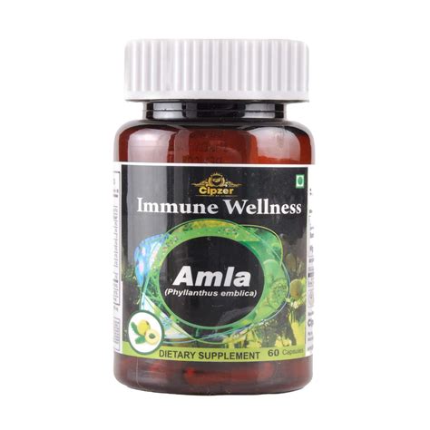 Buy HEALTHVIT CHICORY ROOT 900MG 60 CAPSULES FOR IMMUNITY BOOSTER ...