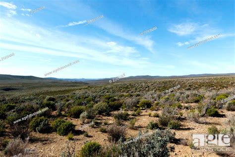 Green and blue landscape of Tankwa Karoo, Stock Photo, Picture And ...