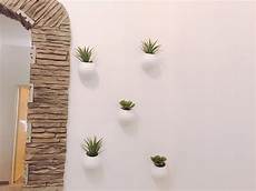 vasi per cactus vasi da appendere con piante in casa idee per arredare vasi per cactus vasi da appendere con piante in casa idee per arredare