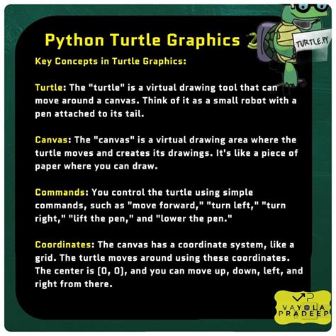Image result for Turtle Python PyCharm