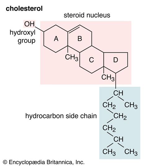 Identifying Alcohols, Hydroxyl Groups, And Hydrocarbons, 42% OFF