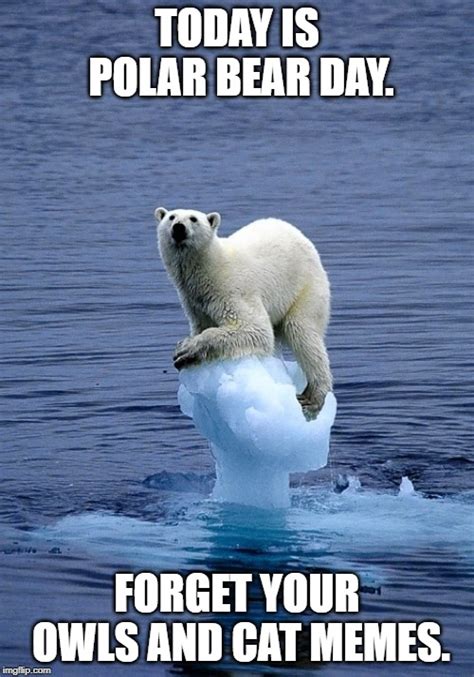 Animation Memes Polar Summit 的图像结果