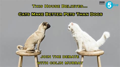 Why Are Dogs Better Than Cats Debate