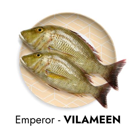 Emperor - VILAMEEN