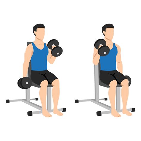 Seated Dumbbell Bicep Curl