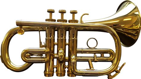 Image result for Cornet Musical Instrument