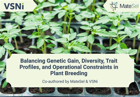 Incomplete Block Design 的图像结果