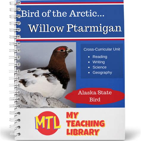 Arctic Bird Crossword