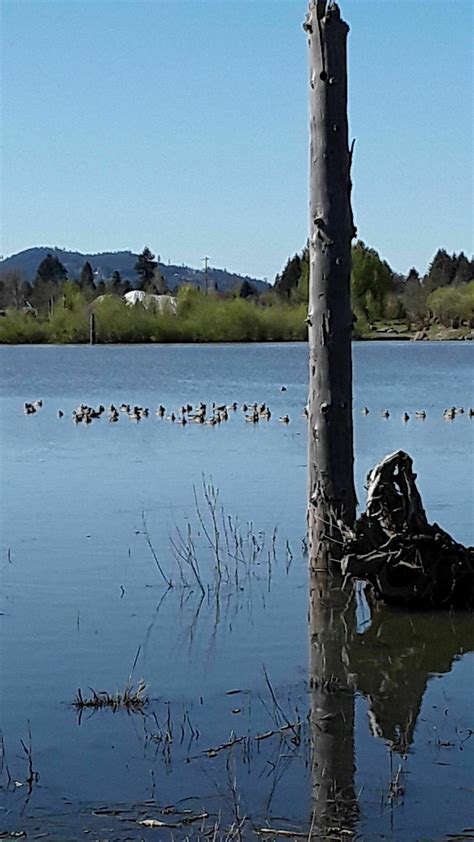 Fernhill Wetlands - Oregon | AllTrails