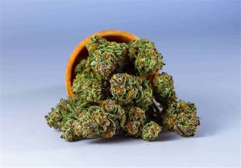 What is Moon Rock Weed? Marijuana Moon Rocks