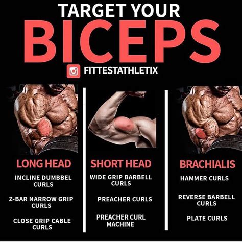 Biceps Workout That Will Have You Bursting Through Your Sleeves ...