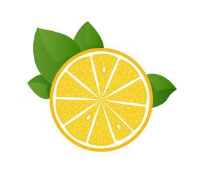 Image result for Lemon Slice Vector