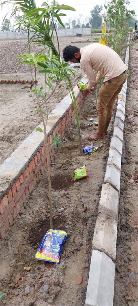 Plots and Agri Farm House in Jewar | Da Foreste